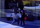 Video: A Navy Veteran Was Violently Sucker Punched In An Unprovoked Attack While Waiting For A Bus – No Hate Crime Charges