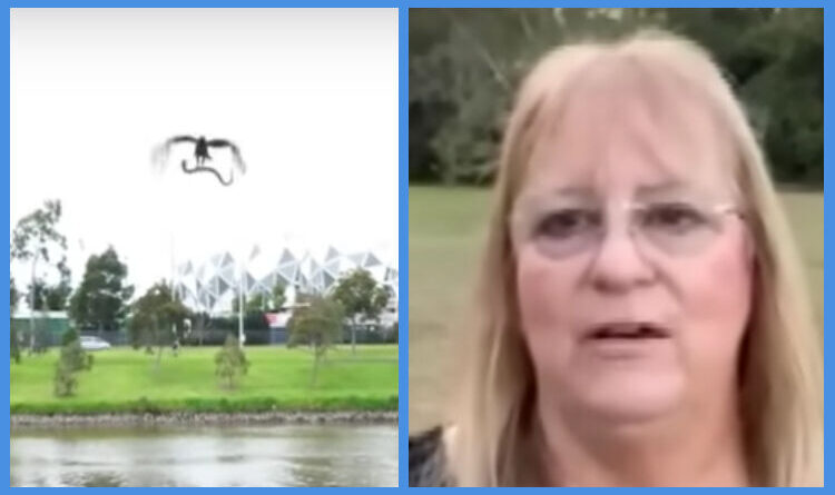 Venomous Snake Falls From The Sky And Attacks A Woman, She Screams ...