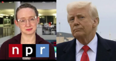 Audio: NPR Reporter Who Hit Trump with Mic Had a Lot to Say About Trump and the KKK Last Year!