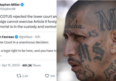 Libs Freaking Out Over SCOTUS Ruling — But They Completely Missed This Key Line About the Deported Illegal
