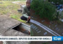 Historic Black Cemetery in Palmetto, Florida Vandalized — What They Wrote on the Graves Makes This the Most Obvious Hoax in History (Video)