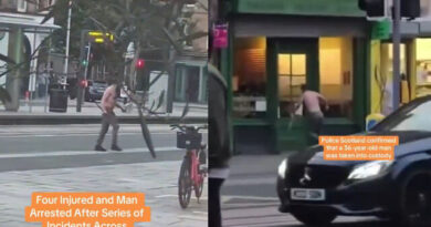 Scottish Man Snaps and Stabs 5 Muslim Migrants in Machete Attack — Police and PM Call It Terror, Not Lone Wolf Issue (Videos)