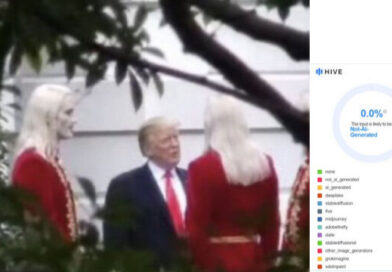 Viral Reddit Photo Deleted After Massive Backlash — But Hive Moderation Confirms It’s 100% Real